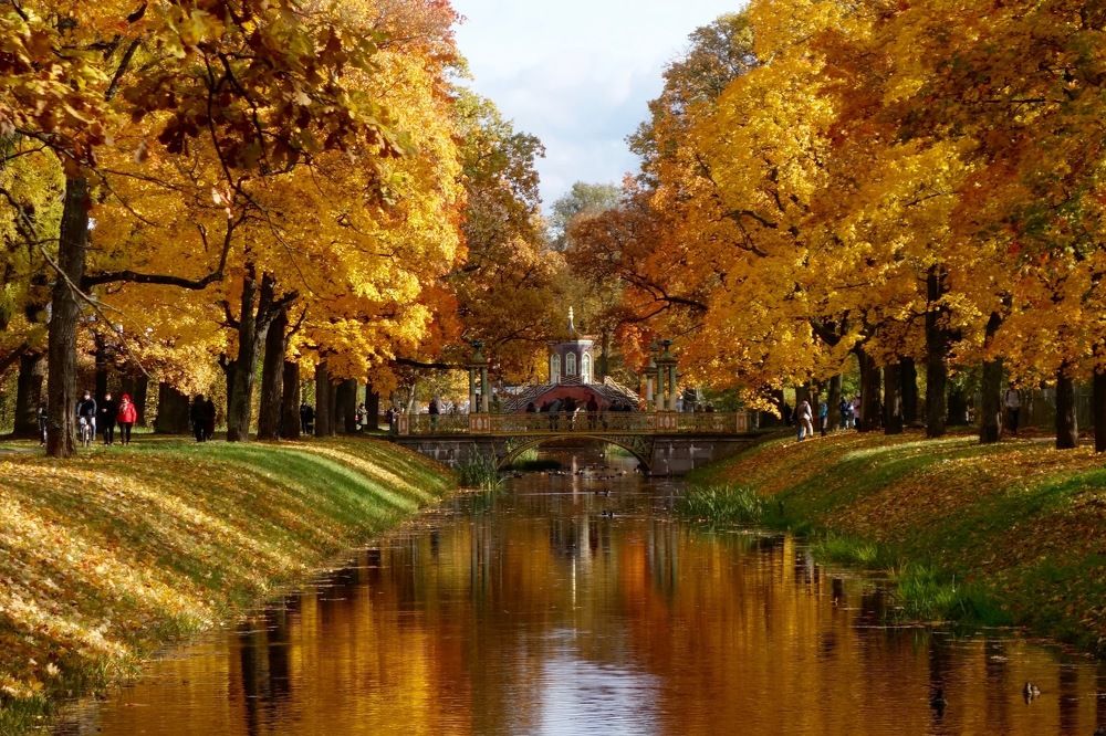 Photograph by Елена Жукова