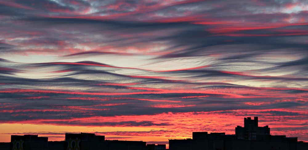 Photograph by Galina Tsmyg