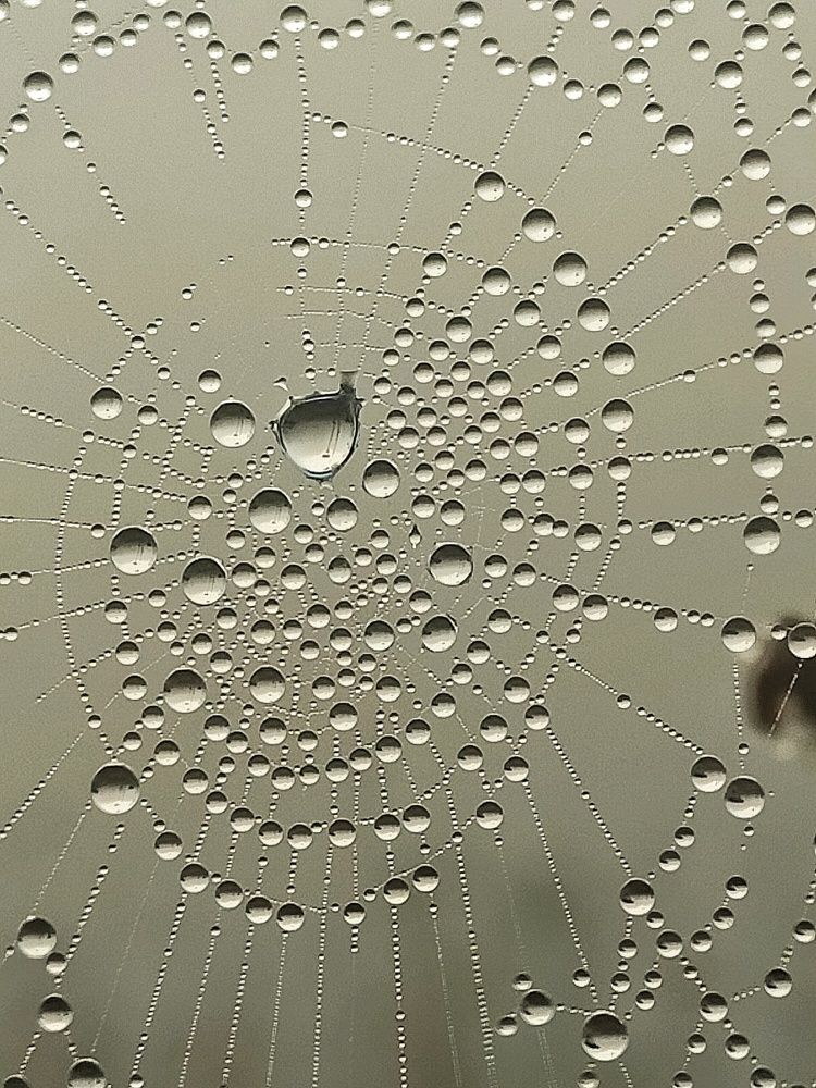 Photograph by Ольга Мартьянова