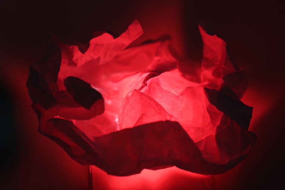 Photograph by Софья Шмидт