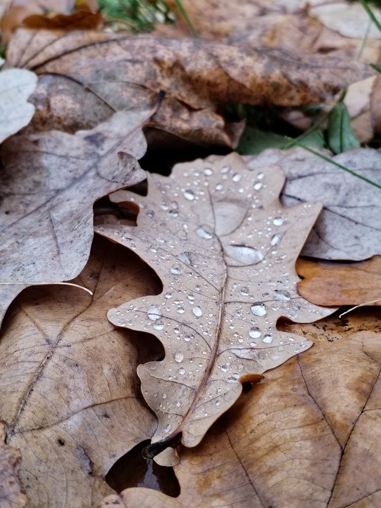 Photograph by Юлия Финогенова