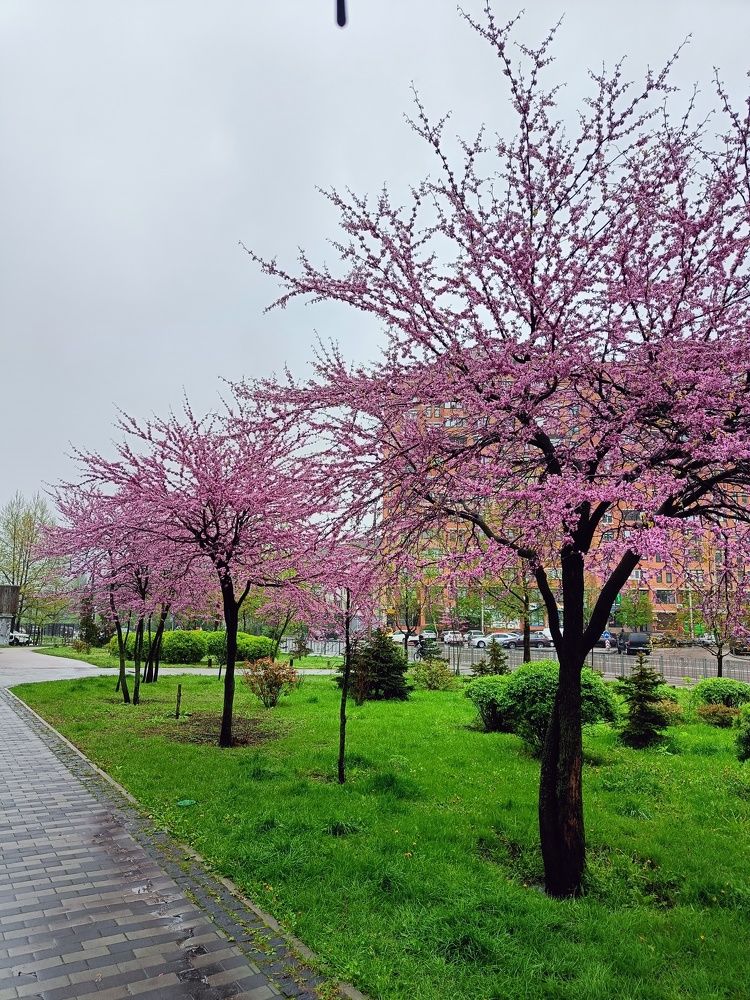 Photograph by Карина Слабкая