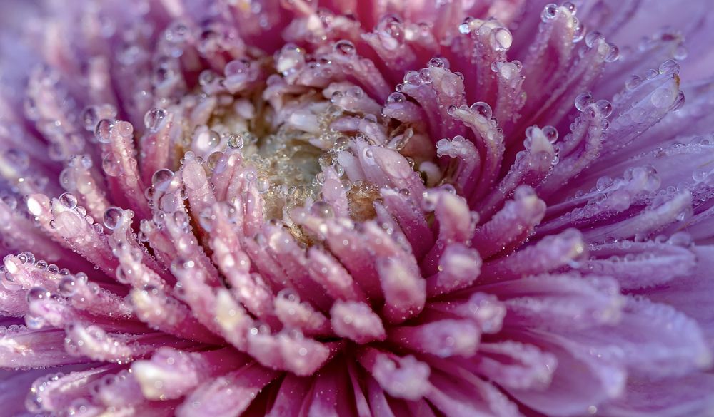 Photograph by Татьяна Феденкова