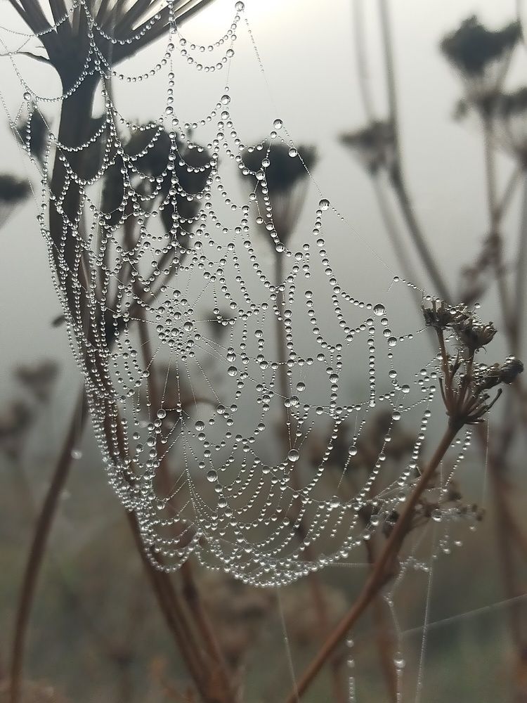 Photograph by Ольга Мартьянова