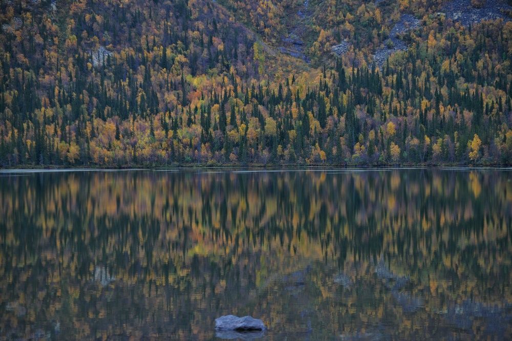 Photograph by Margareth Tikhonova