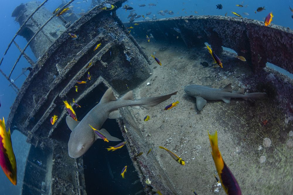 Photograph by Fabi Fregonesi