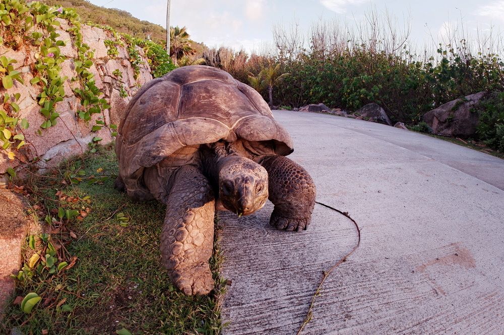 Фотография автора Юрий Кольцов
