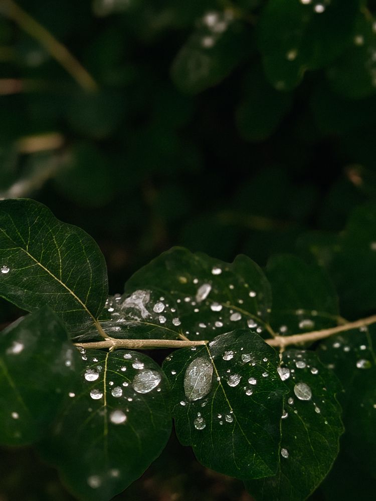 Photograph by Анастасия Лотова