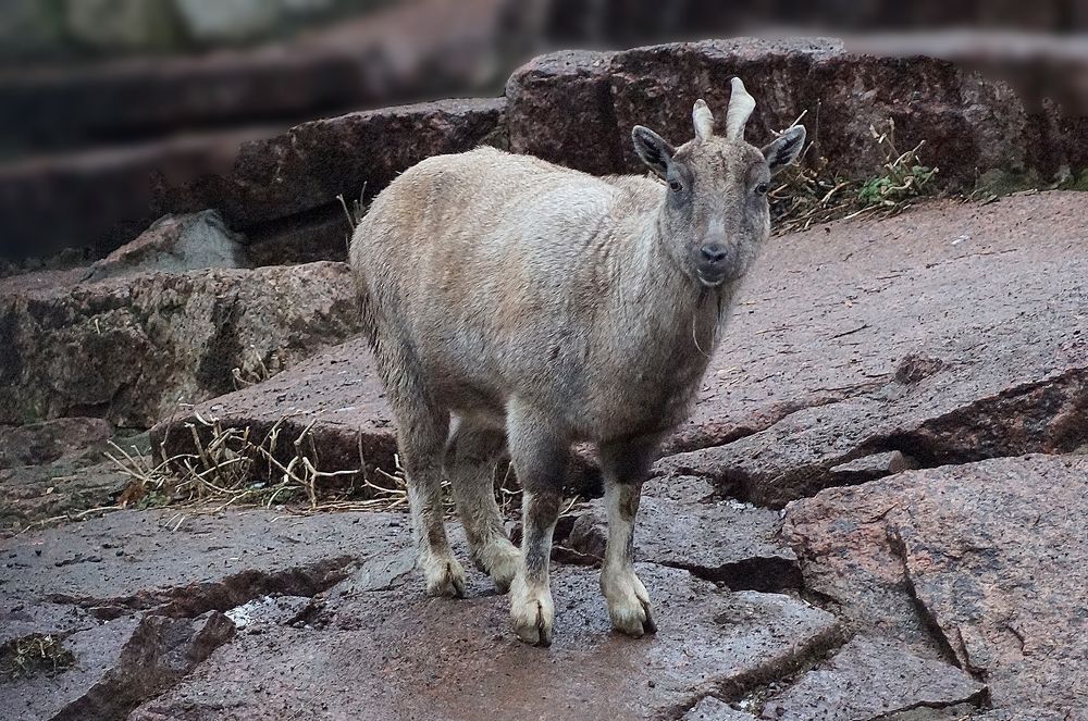 Photograph by Светлана Логинова