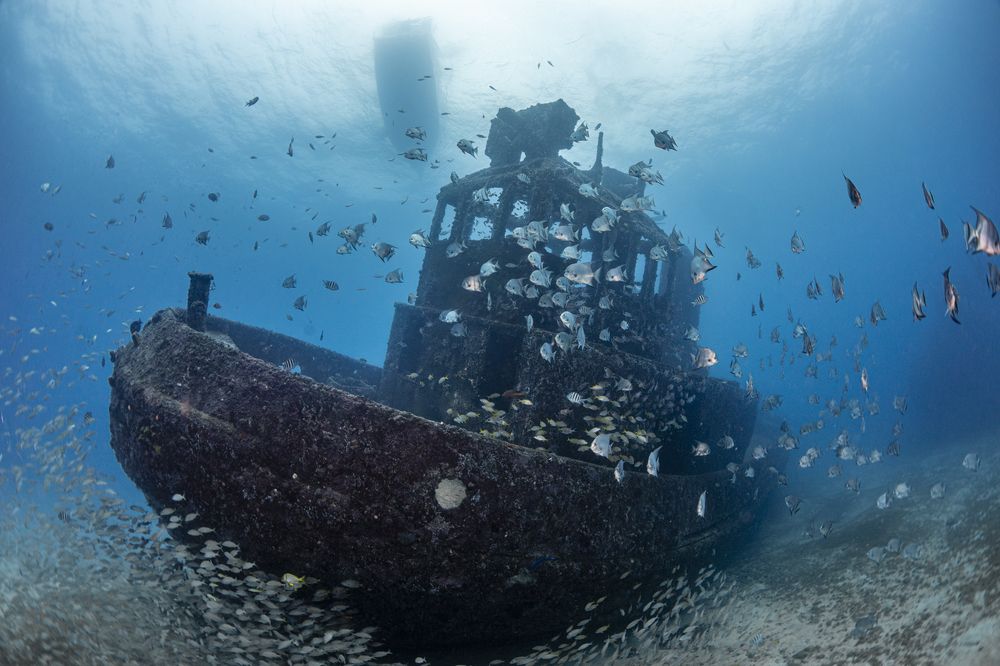 Photograph by Fabi Fregonesi