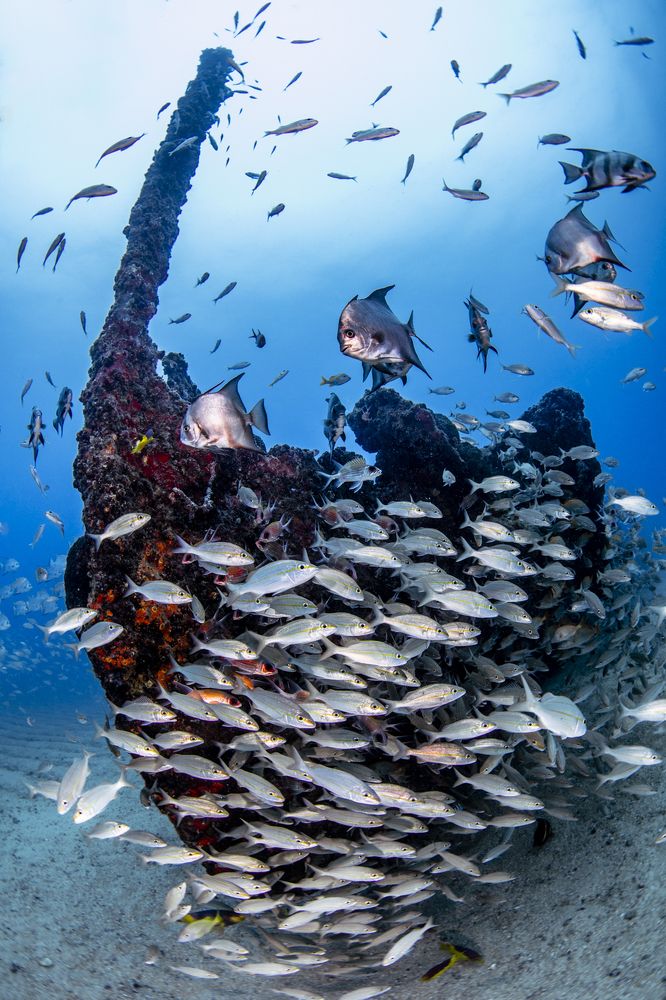 Photograph by Fabi Fregonesi