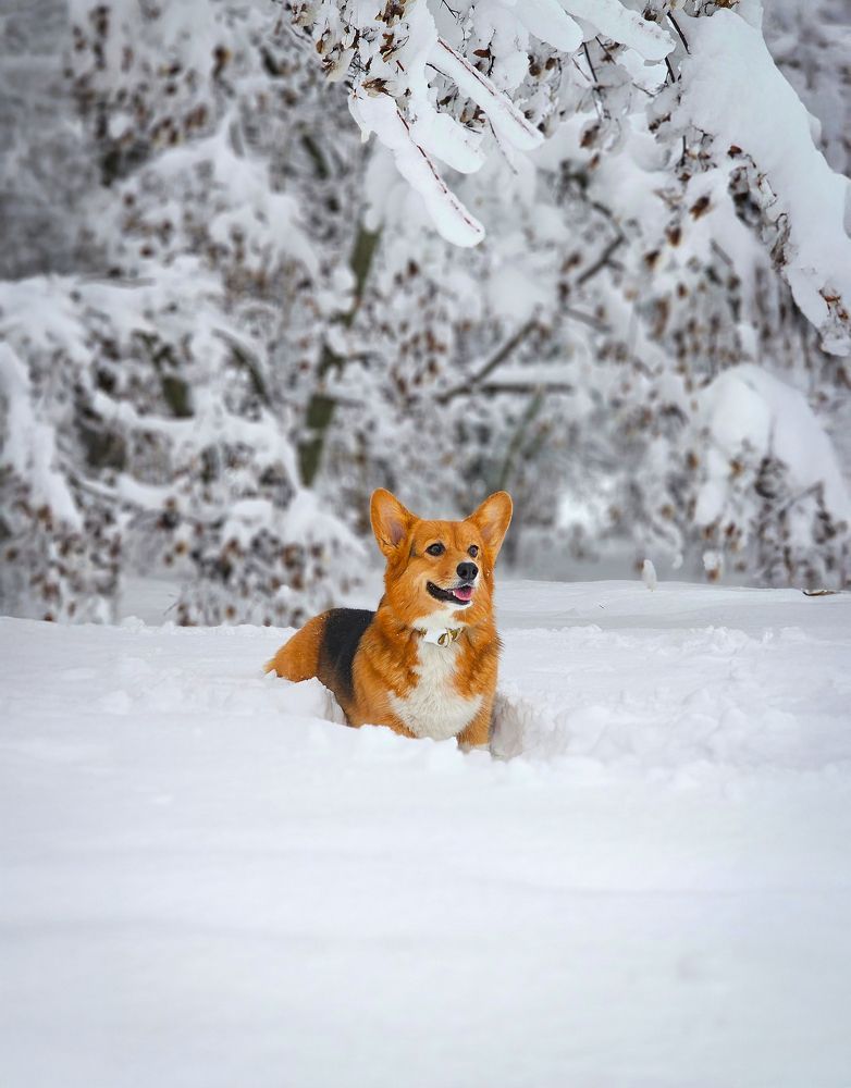 Выхожу один я на дорогу