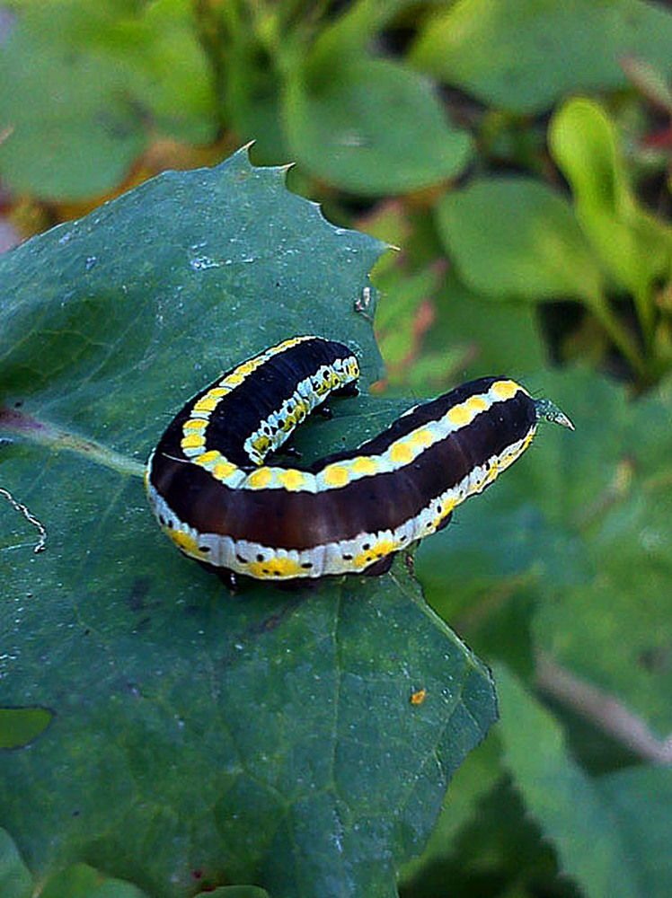 Photograph by Людмила Павловна