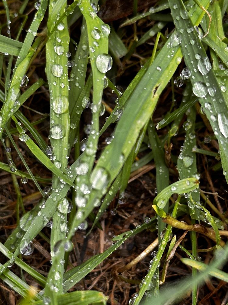 Photograph by Наумова Татьяна