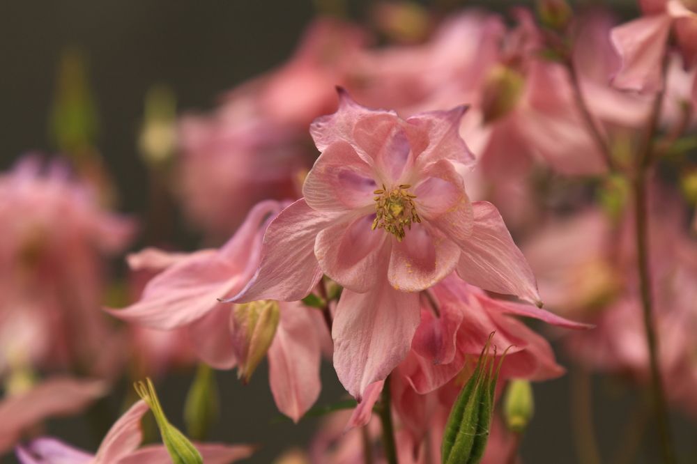 Фотография автора Сергей Кульков