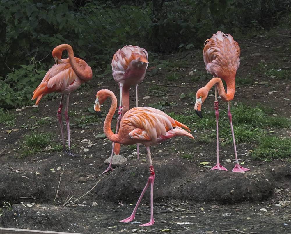 Photograph by Цветков Сергей