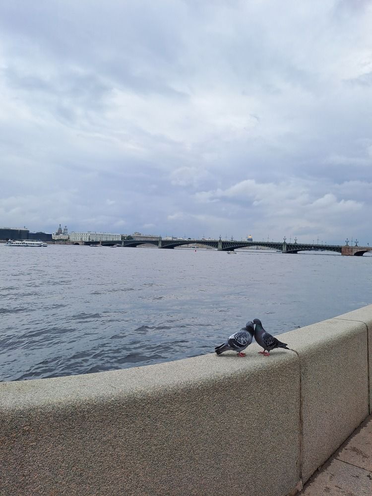 Photograph by Ирина Савельева