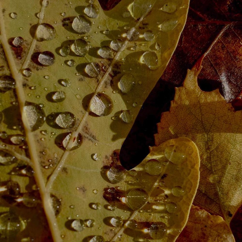 Photograph by Наталия Любчикова