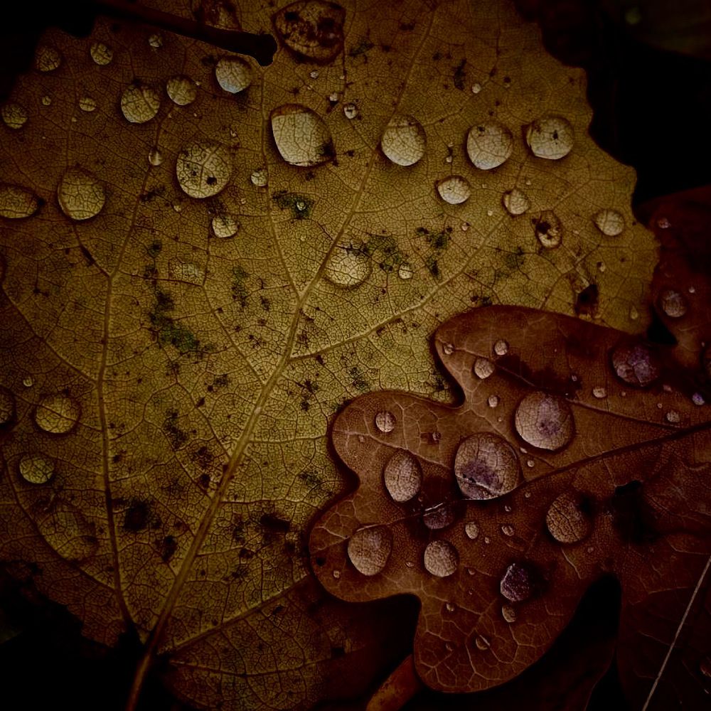 Photograph by Наталия Любчикова