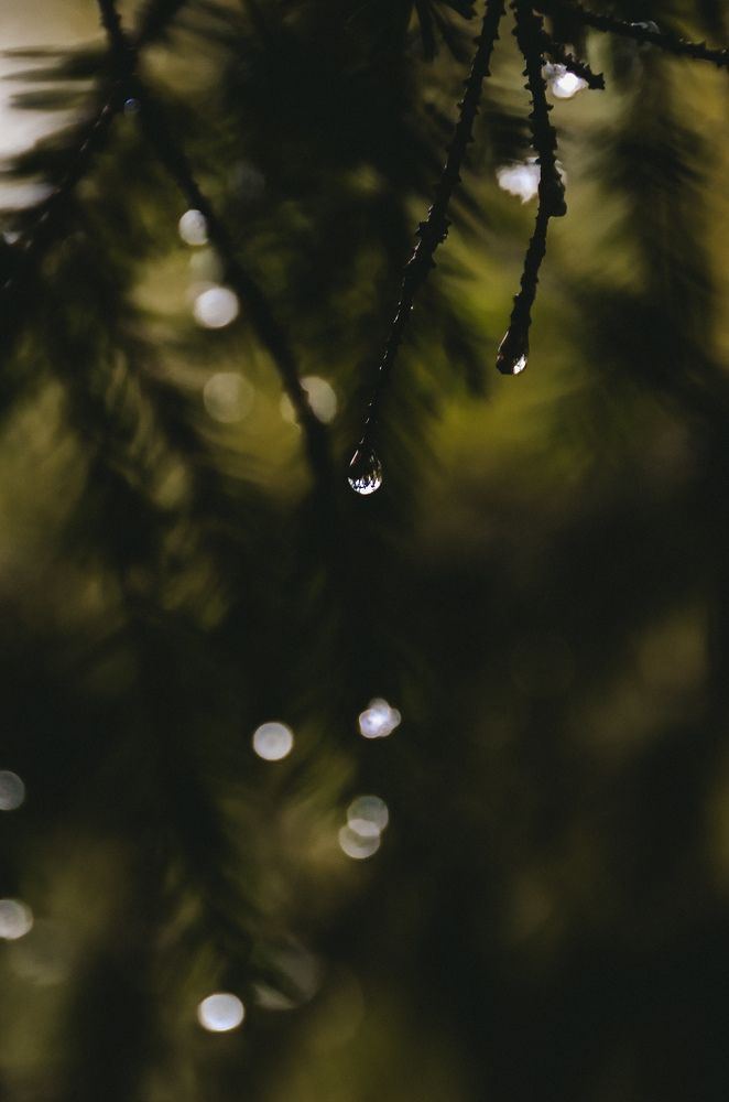 Photograph by Алёна Петрова