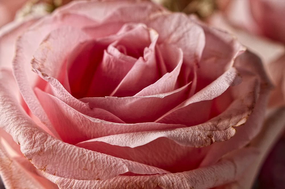 Photograph by Евгений Козлов