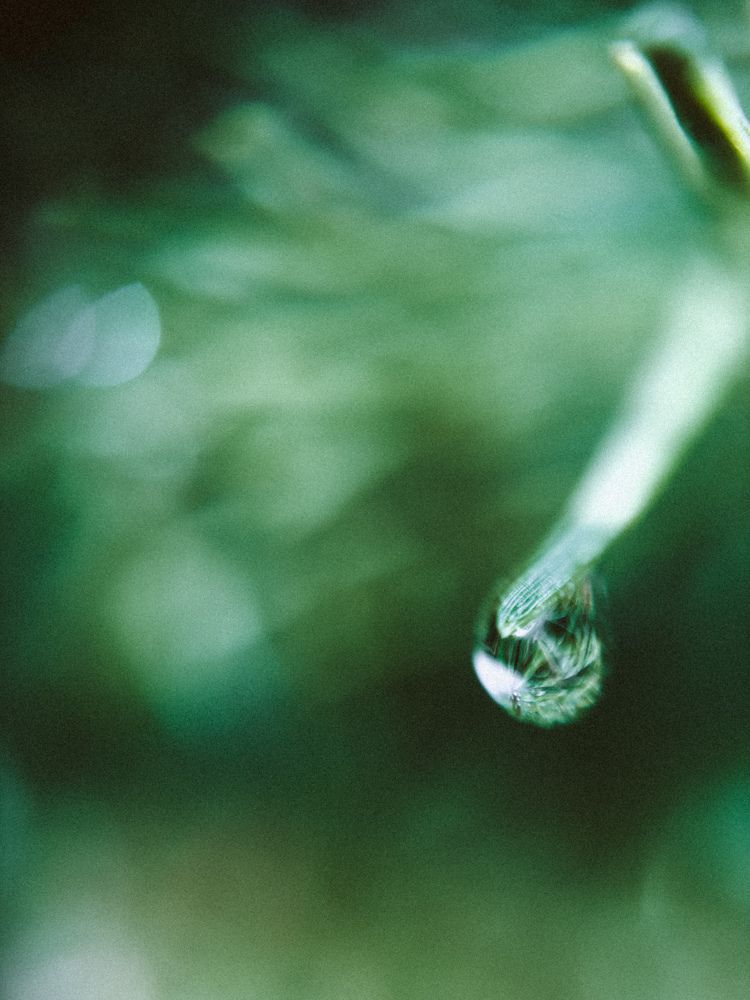 Photograph by Алёна Петрова