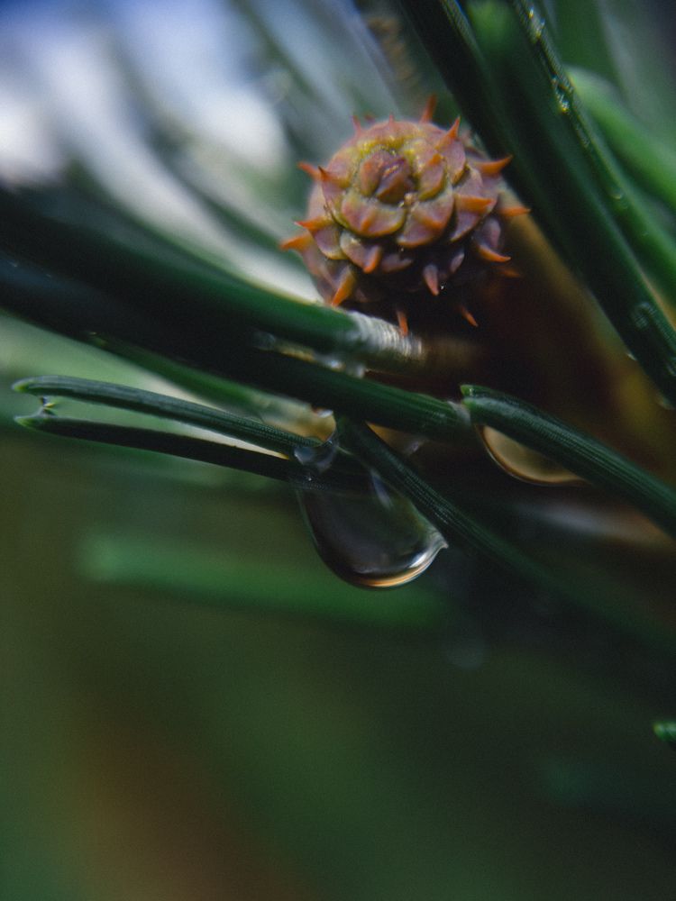 Photograph by Алёна Петрова