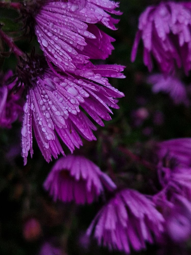 Photograph by Александра Воронина