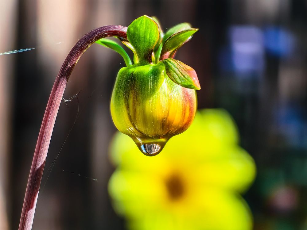 Photograph by Сергей Игнатьев