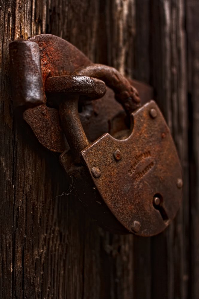 Photograph by Евгений Козлов