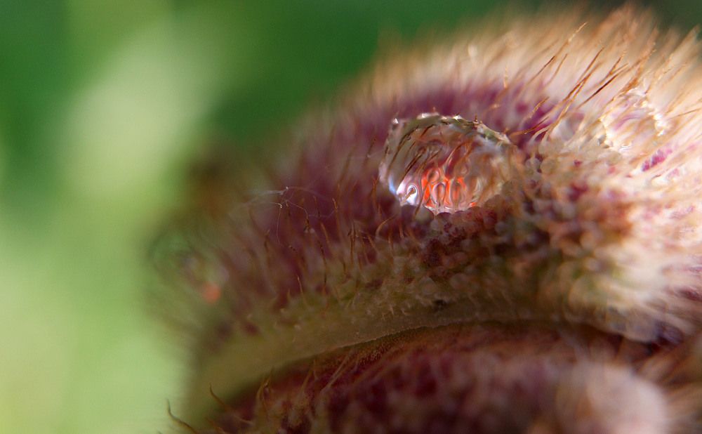 Photograph by Дмитрий Ткаченко