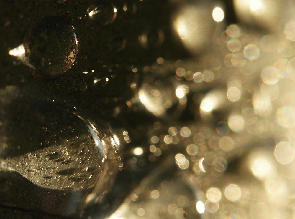 Photograph by Дмитрий Ткаченко