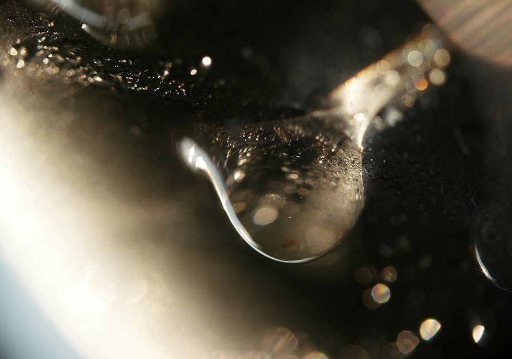 Photograph by Дмитрий Ткаченко