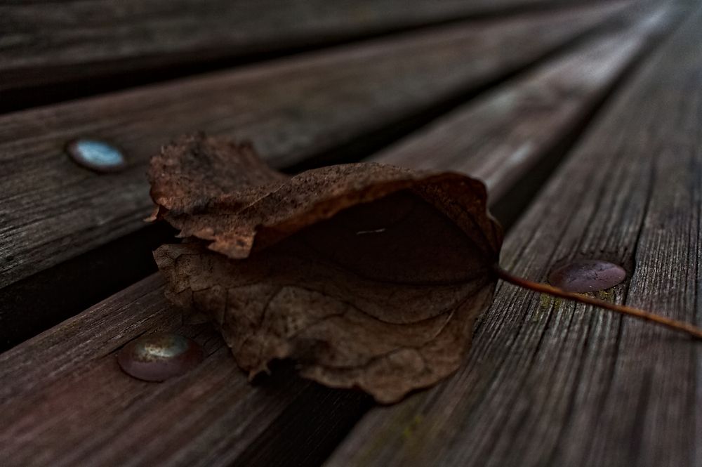 Photograph by Евгений Козлов