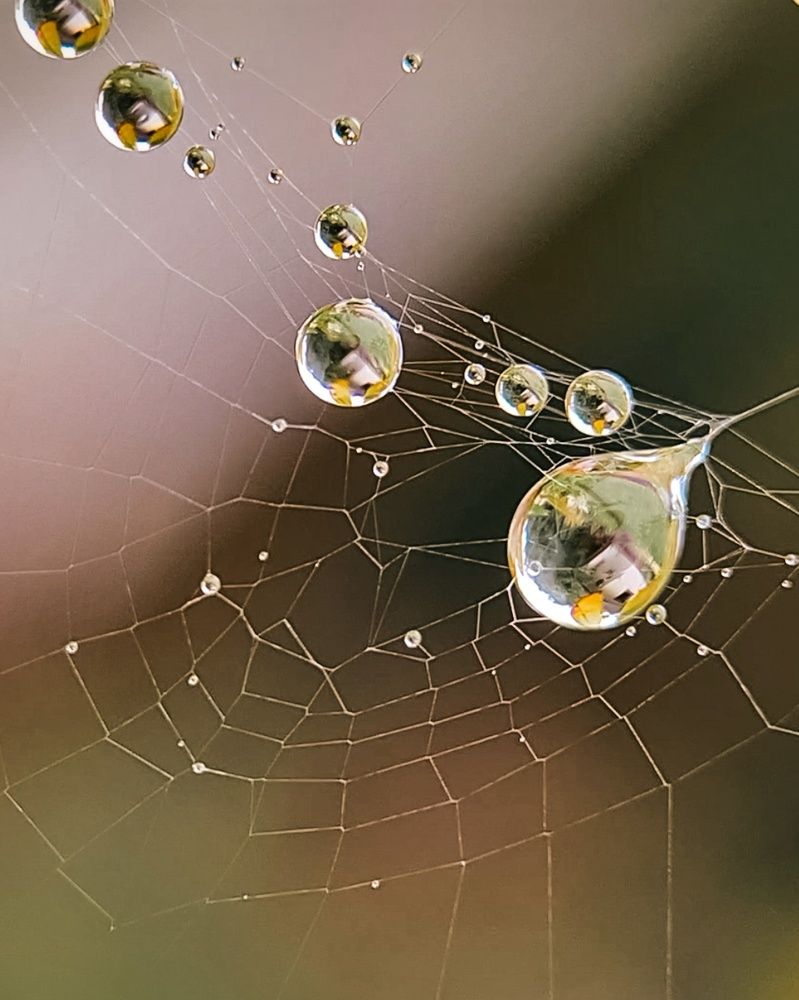 Photograph by Татьяна Соколовская