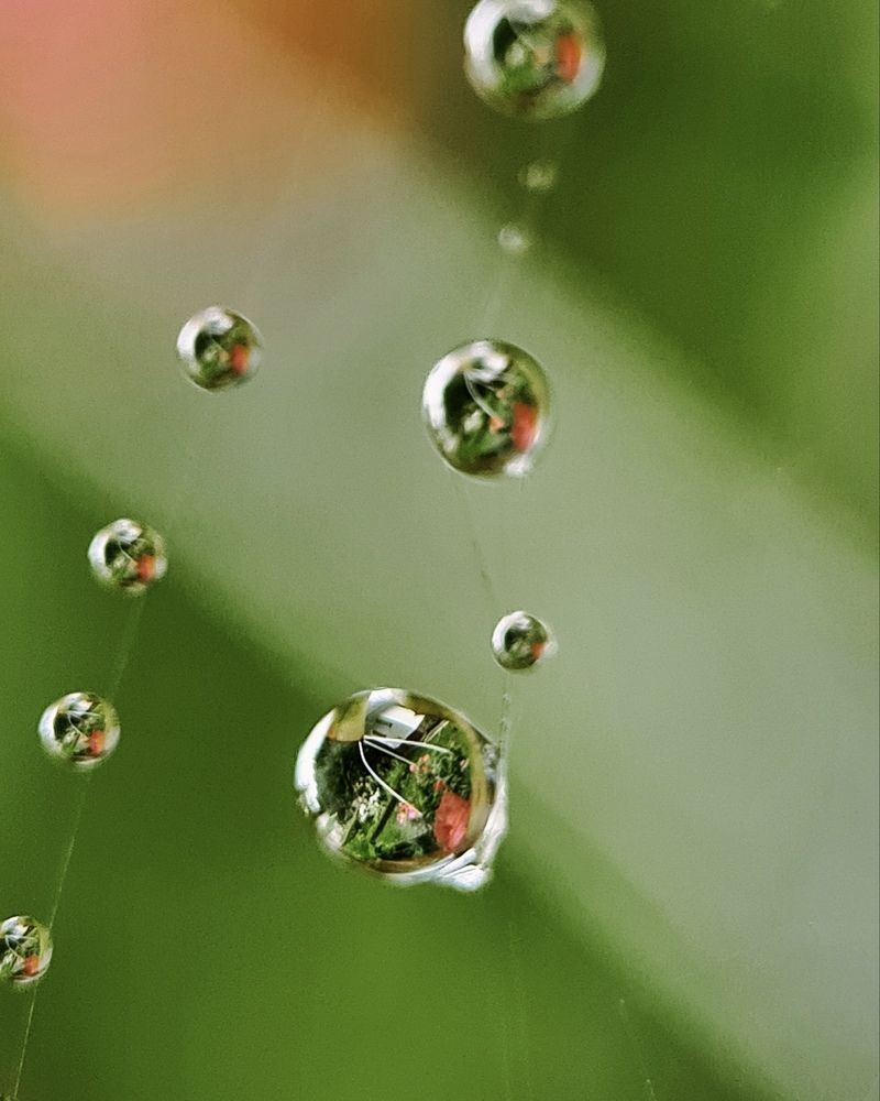 Photograph by Татьяна Соколовская