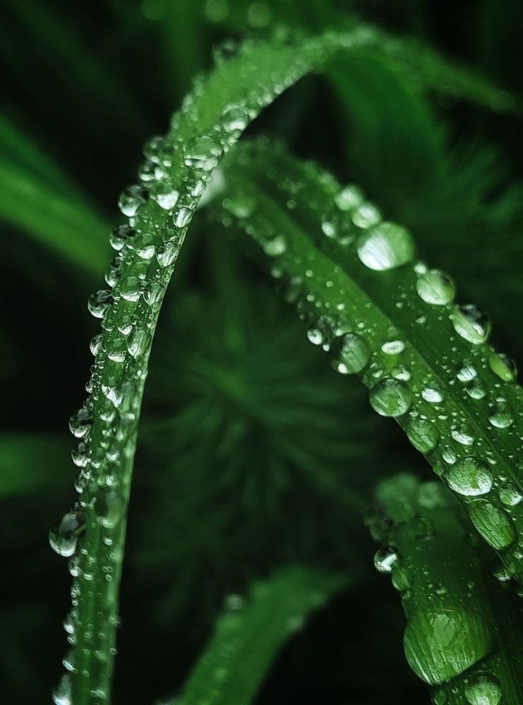 Photograph by Татьяна Соколовская