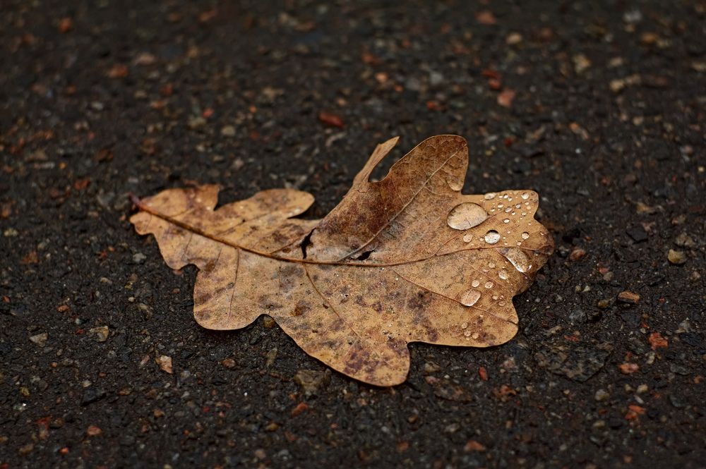 Photograph by Евгений Козлов