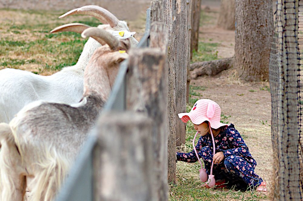 Photograph by Marina Weiland