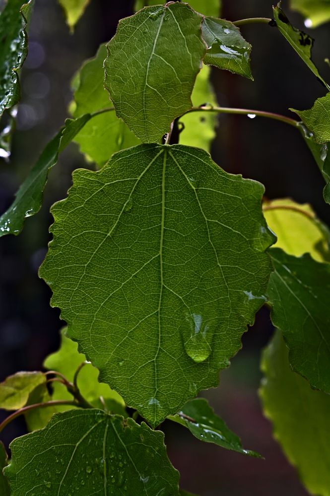 Photograph by Евгений Козлов
