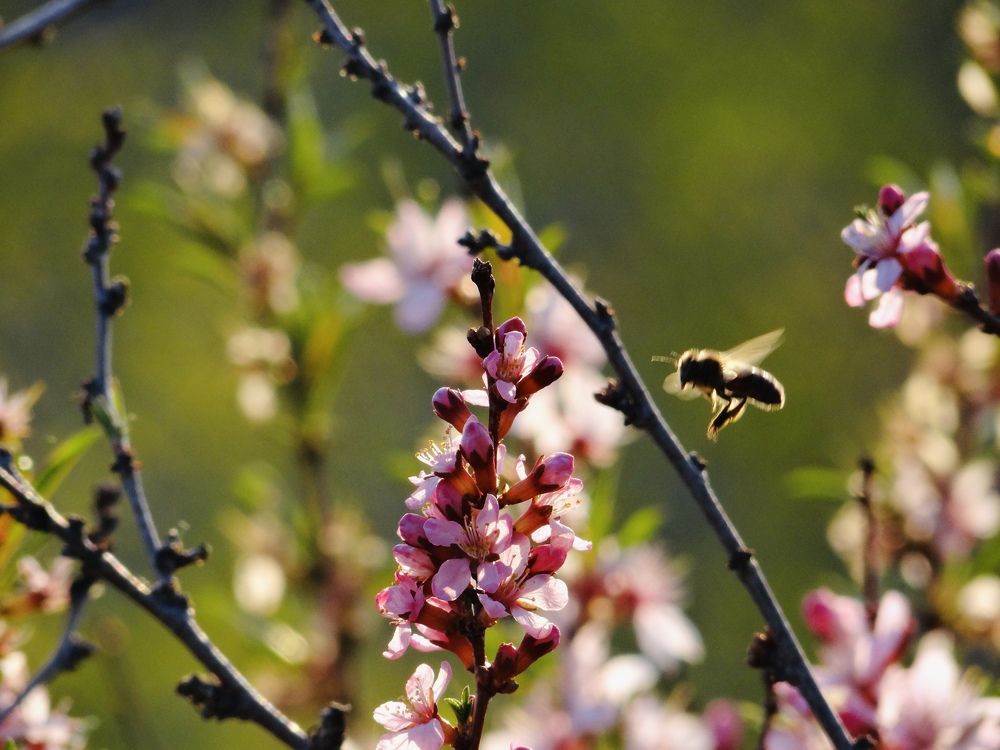 Photograph by Данила Мельников