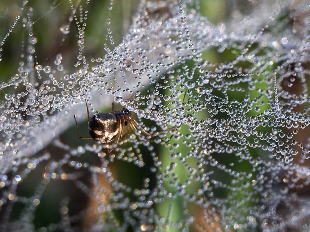 Фотография автора Борис Журавлёв