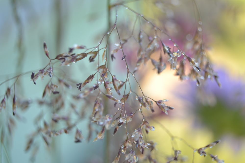 Photograph by Юлия Локалова