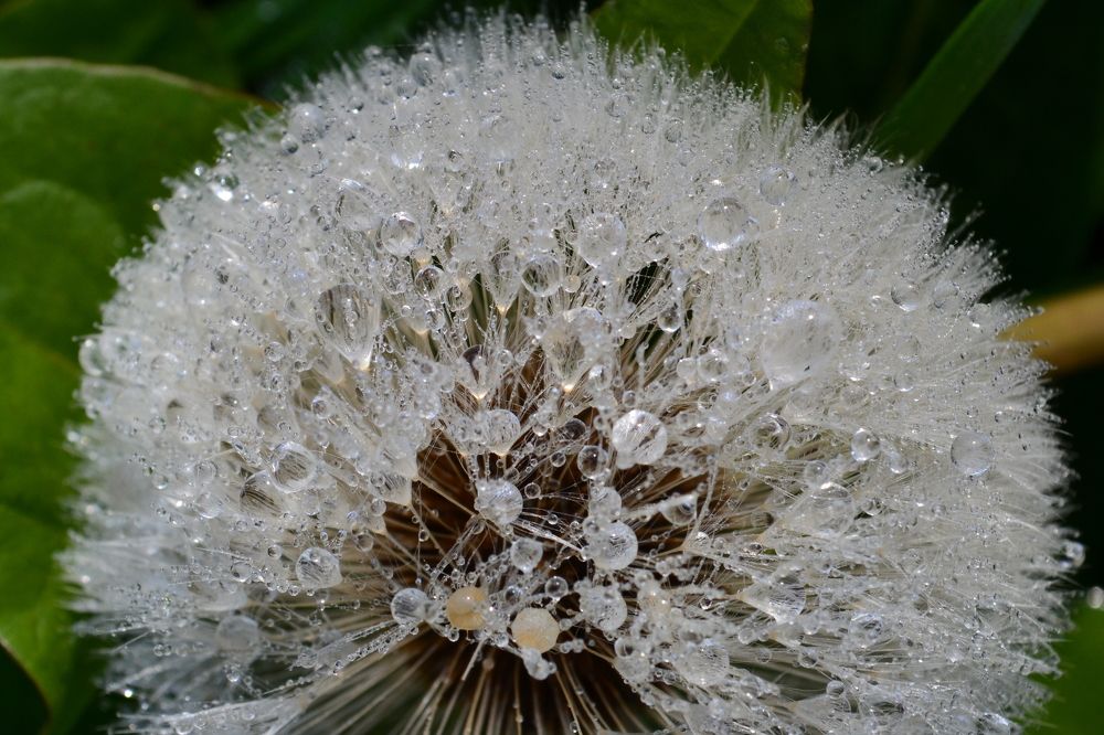 Photograph by Юлия Локалова