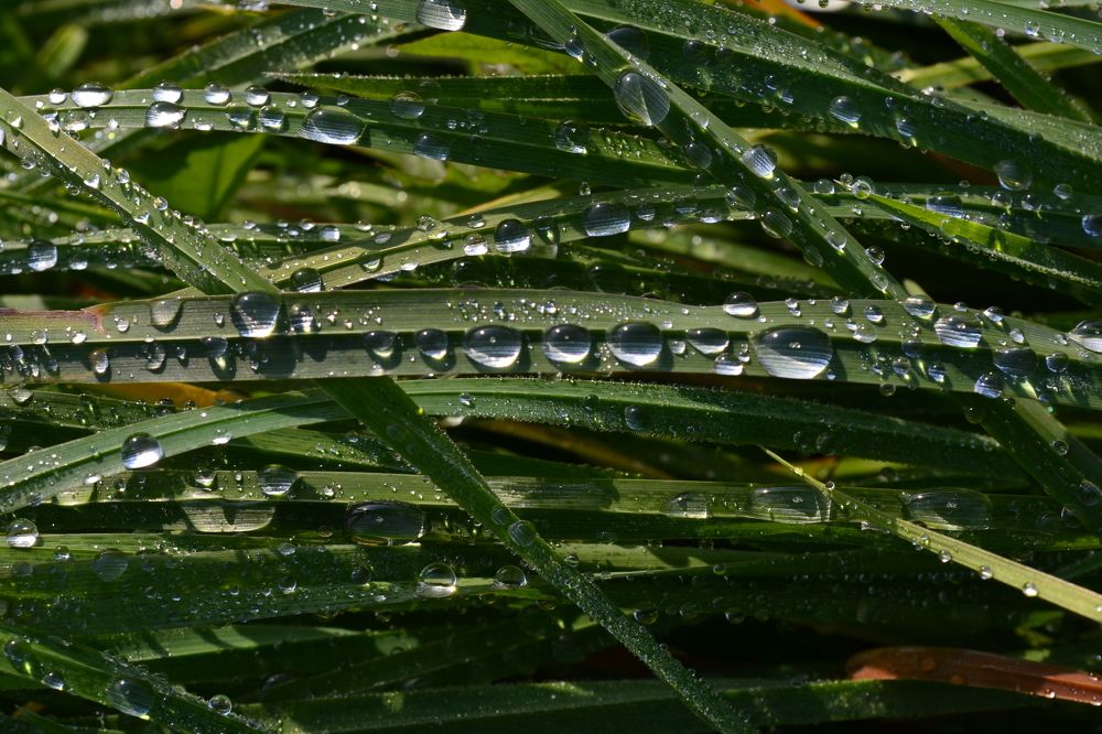 Photograph by Юлия Локалова