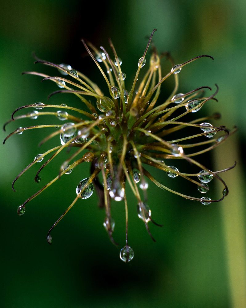 Photograph by Людмила Прибылова