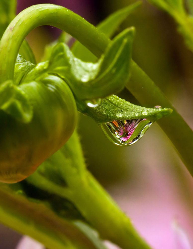 Фотография автора Борис Журавлёв