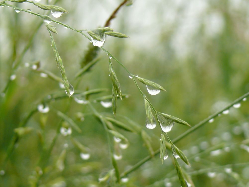 Фотография автора Анатолий Борисов