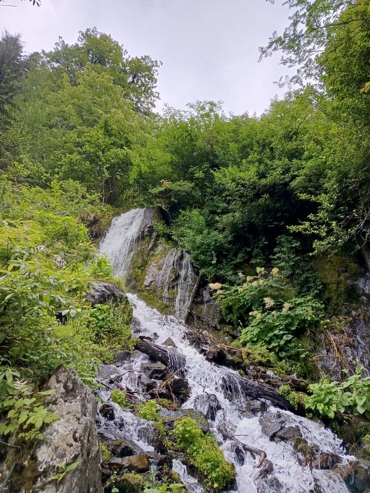 Photograph by Петрова Мария