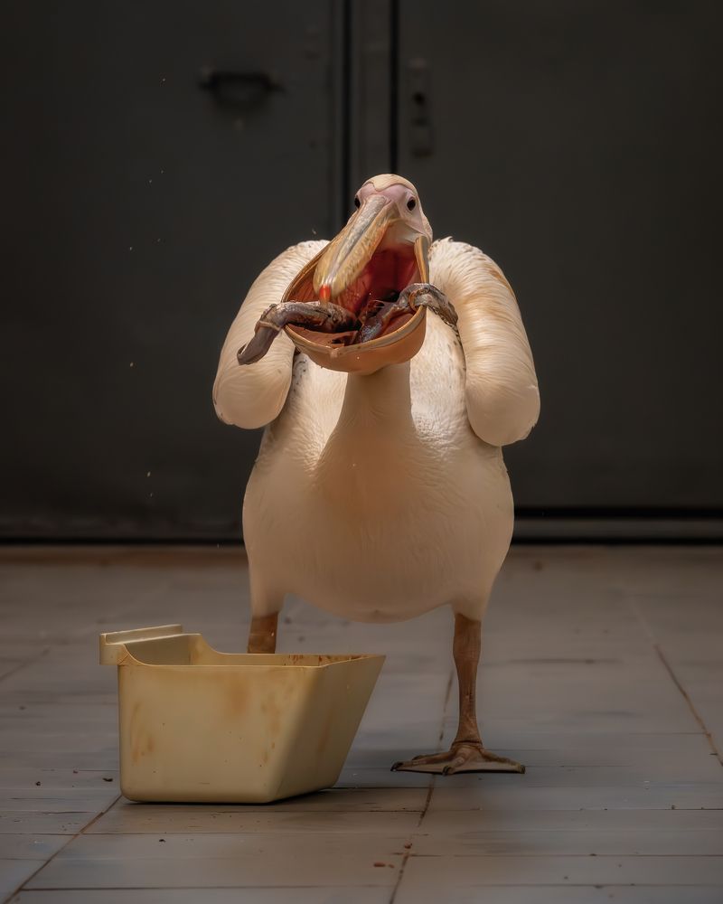 Photograph by Дудников Александр